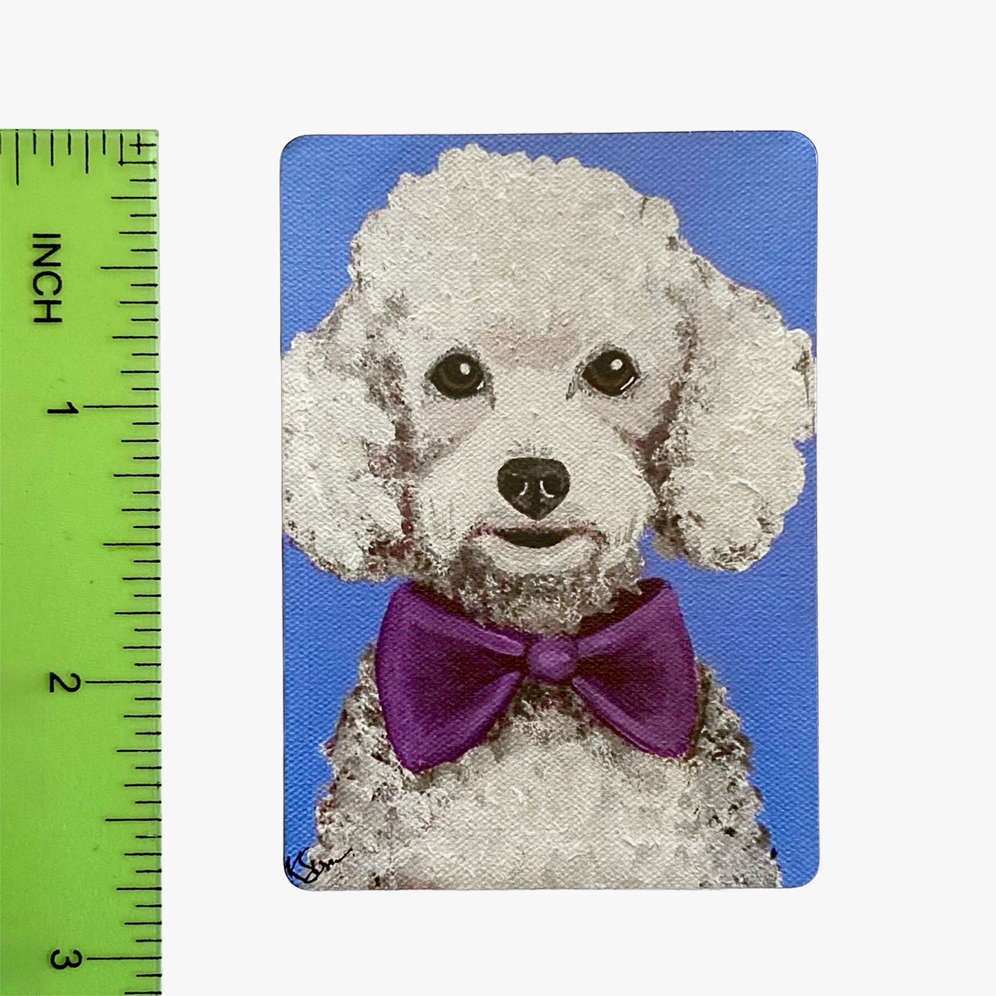 Dog with a purple bow tie on a blue background next to a ruler for scale.