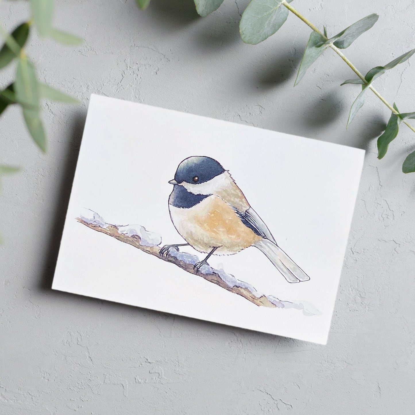 Black Capped Chickadee Blank Card - Kristal Serna, Fine Artist
