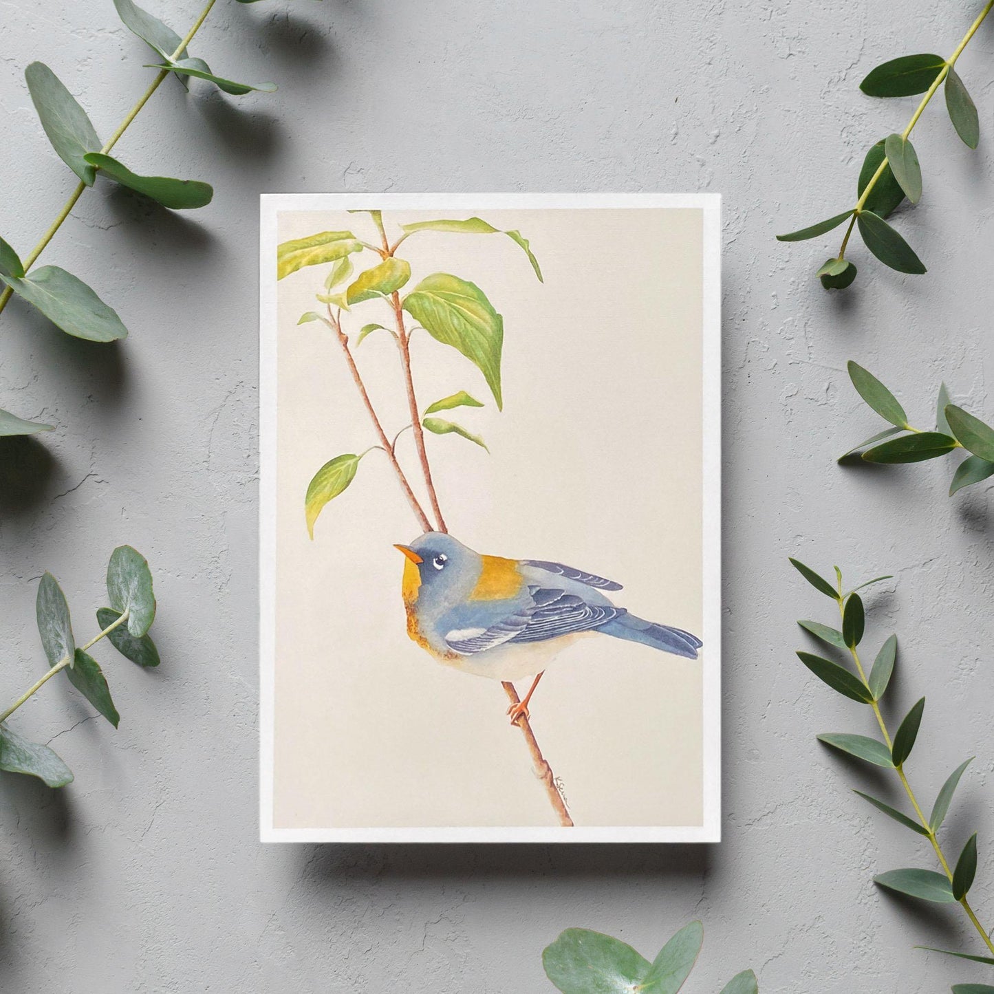 image of Northern Parula Warbler Blank Card from Kristal Serna, Fine Artist