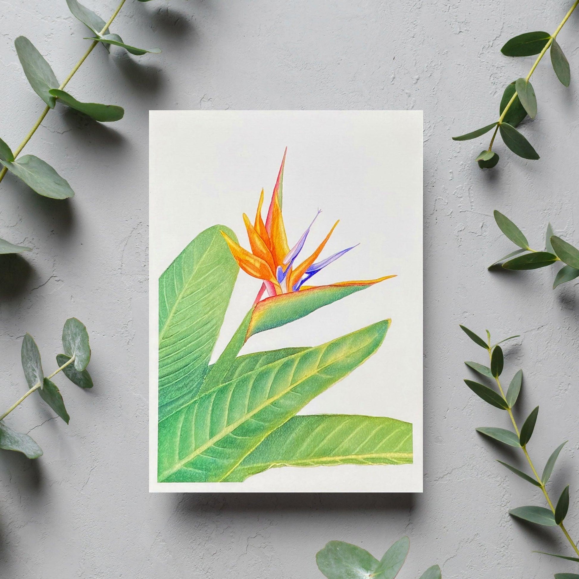 Paradise Blank Card - Kristal Serna, Fine Artist
