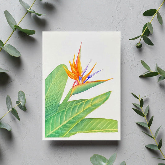 Paradise Blank Card - Kristal Serna, Fine Artist