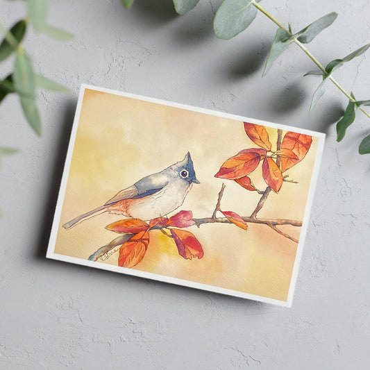 Tufted Titmouse Blank Card - Kristal Serna, Fine Artist