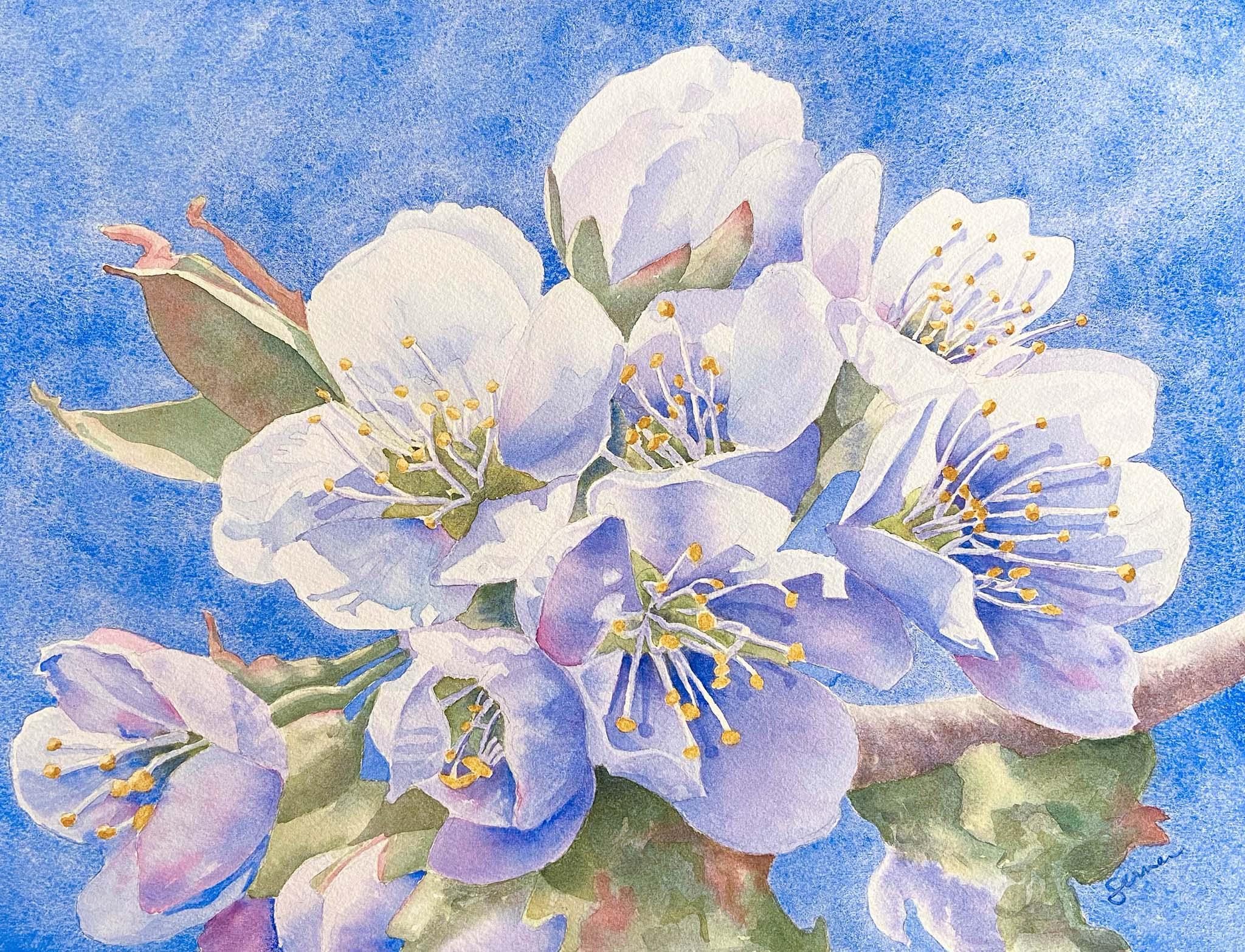 Close-up of a branch with white and purple flowers against a blue background