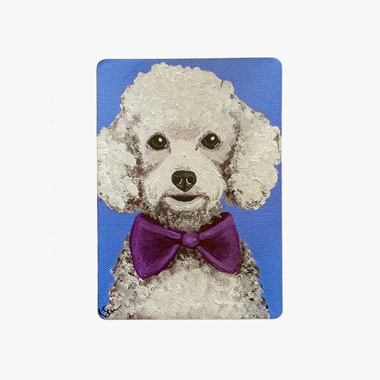 Dog with a purple bow tie on a blue background