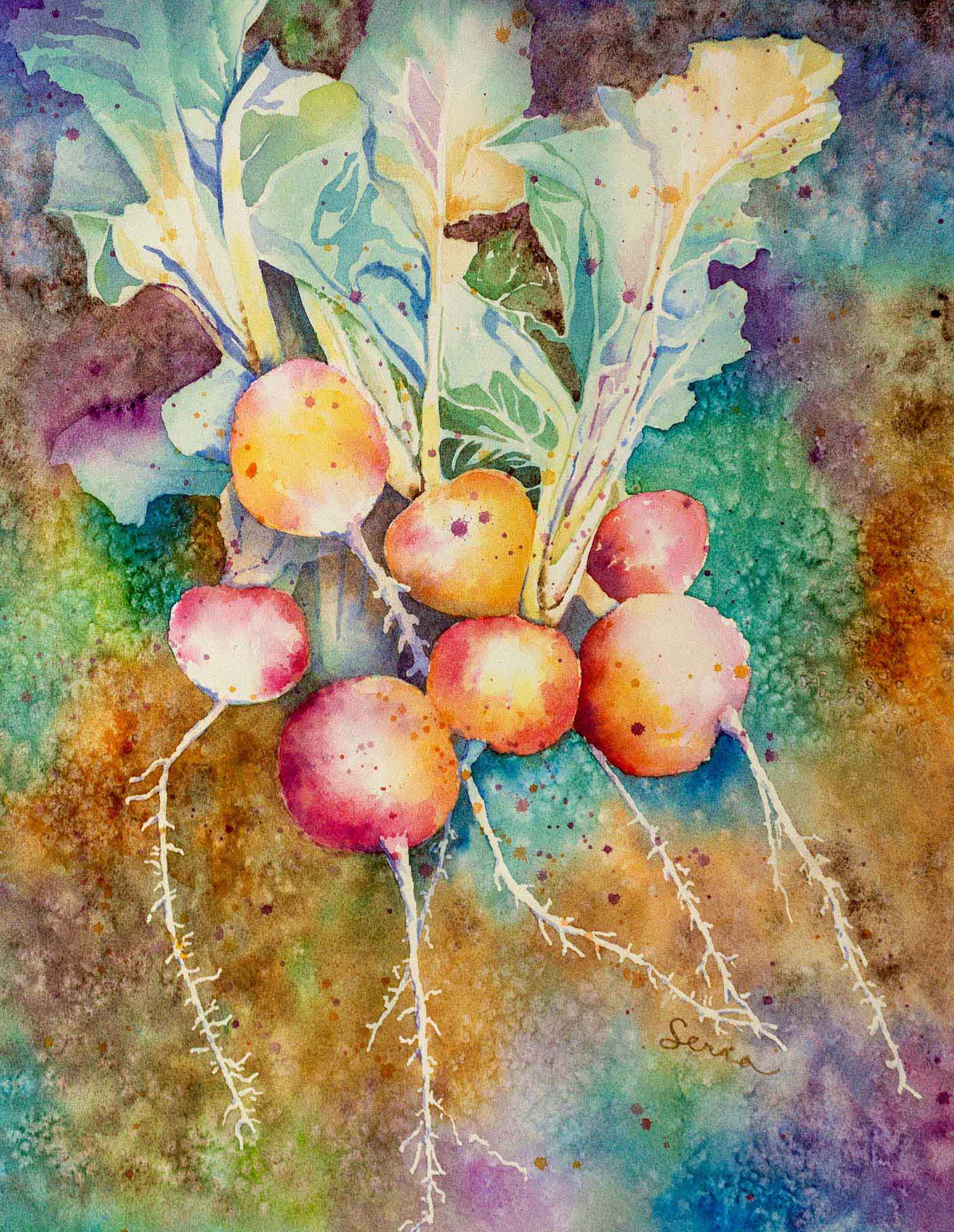 Colorful watercolor painting of radishes on a multicolored background