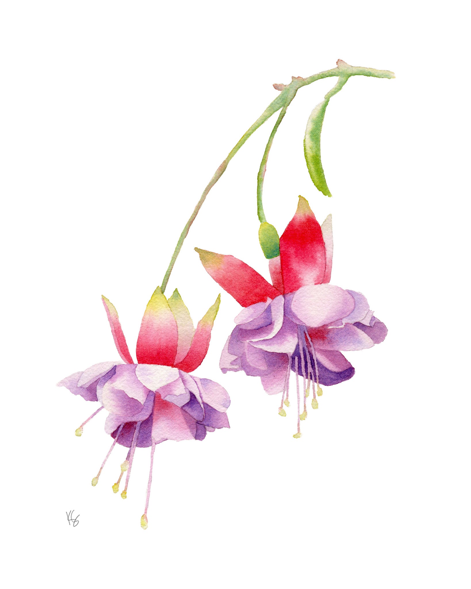 Dancing in the Shade - Fuchsia Art Print
