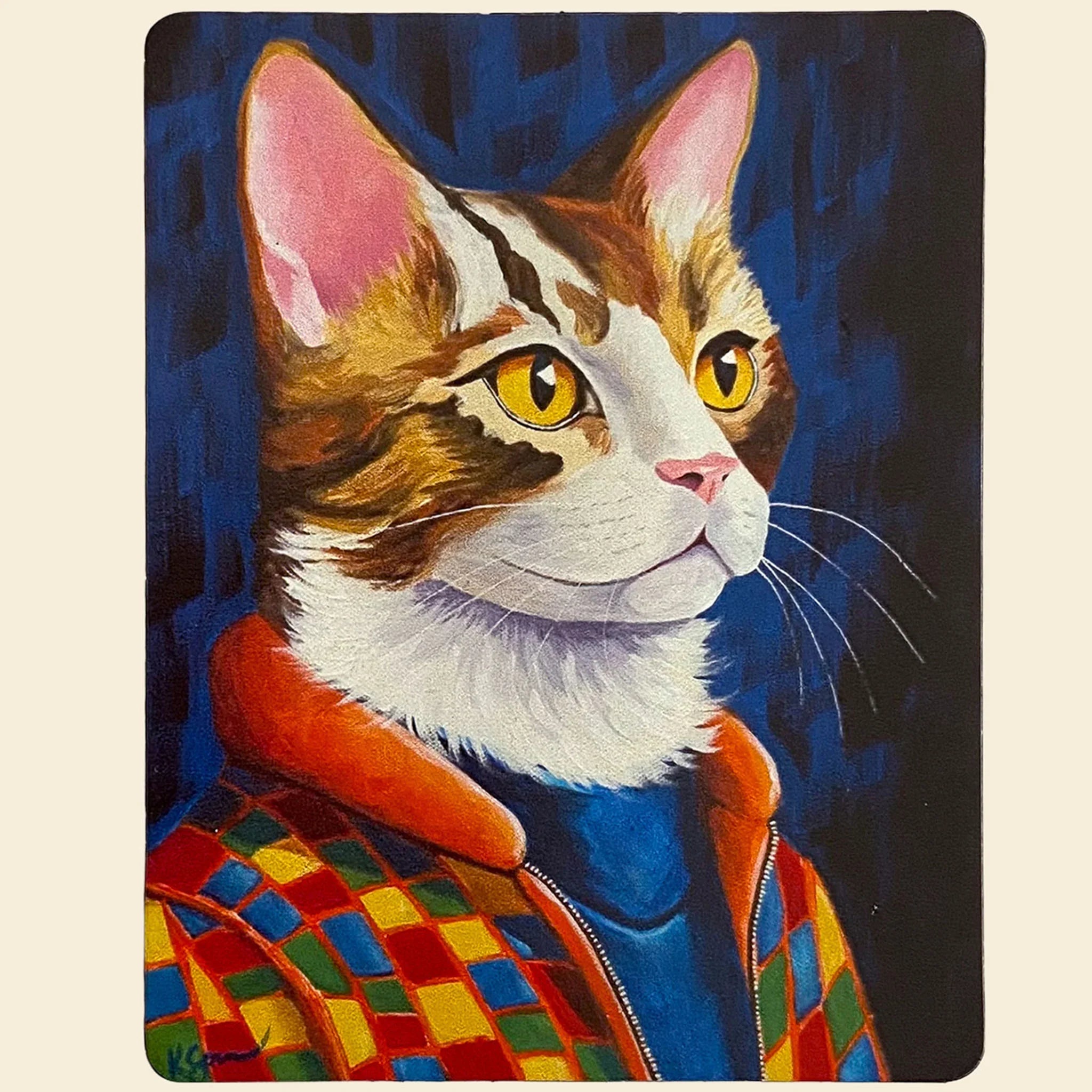 Magnet of a cat wearing a colorful jacket against a dark background