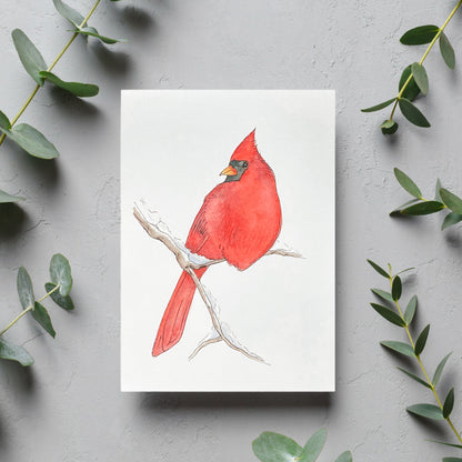 image of Northern Cardinal Blank Card from Kristal Serna, Fine Artist