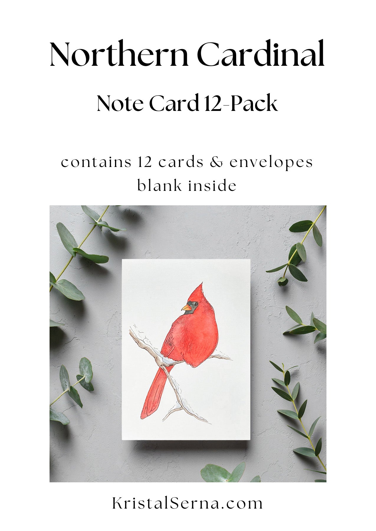 Northern Cardinal Blank Card