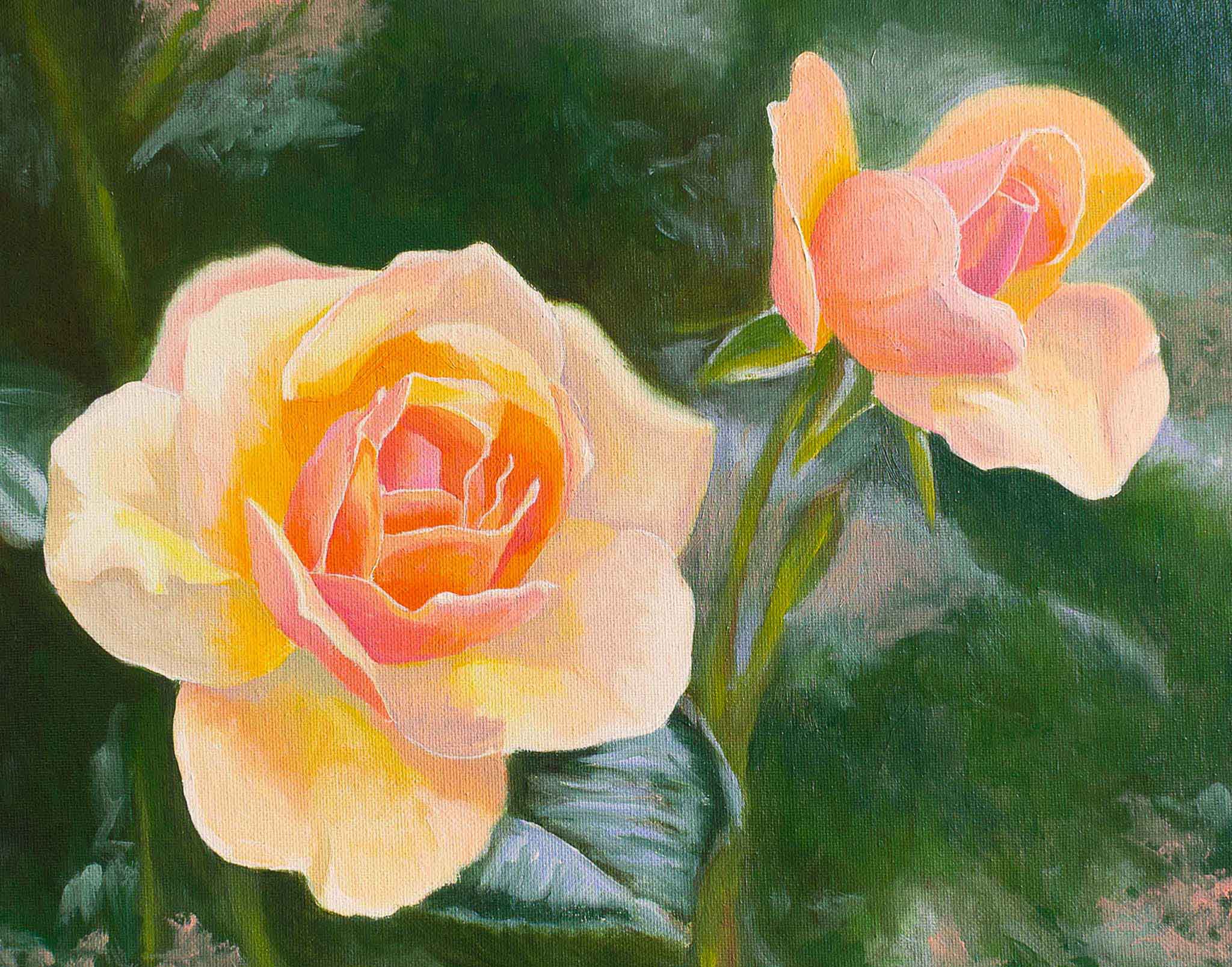 Two peach roses with green leaves on a dark background