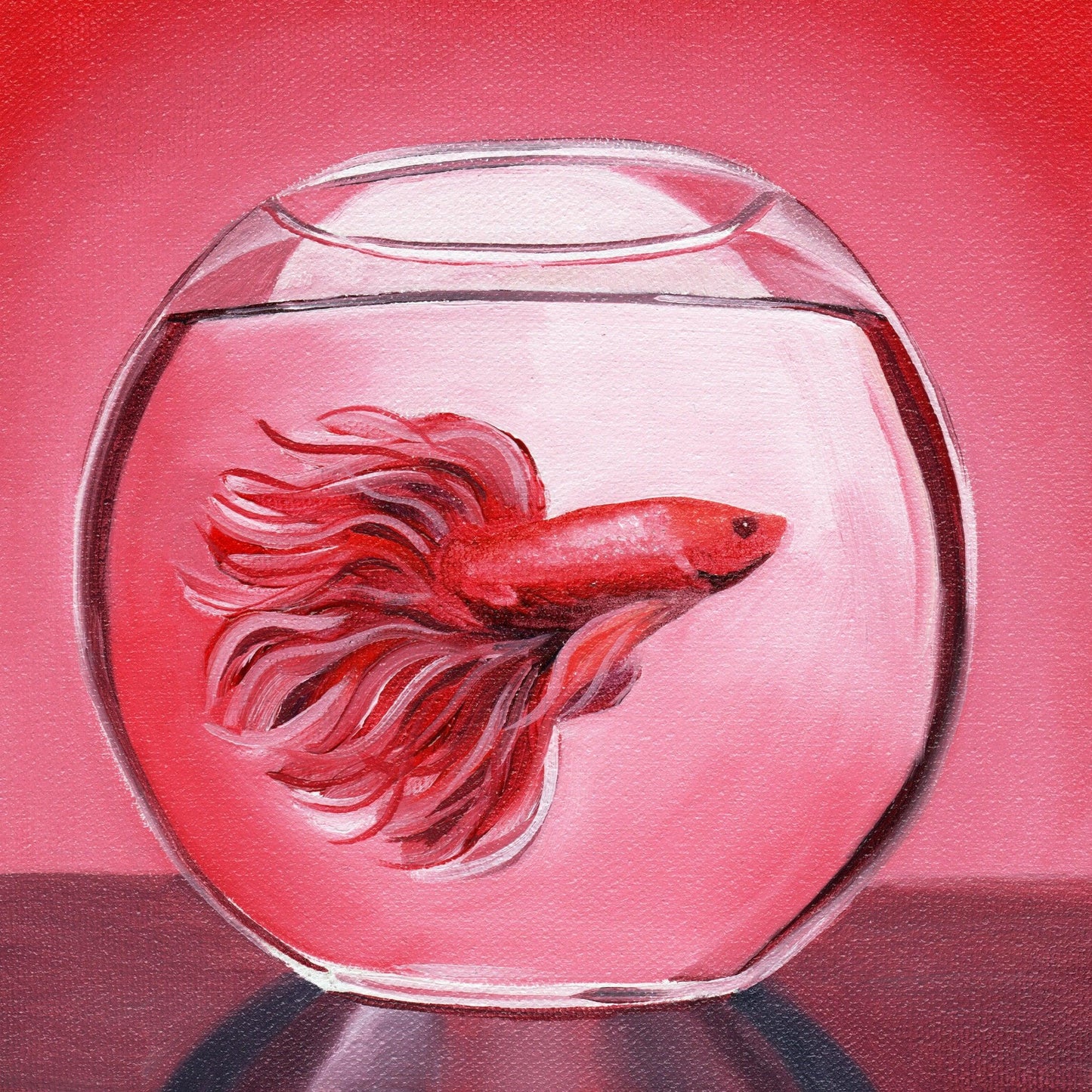 Red Beta Fish Oil Painting, 8x8"