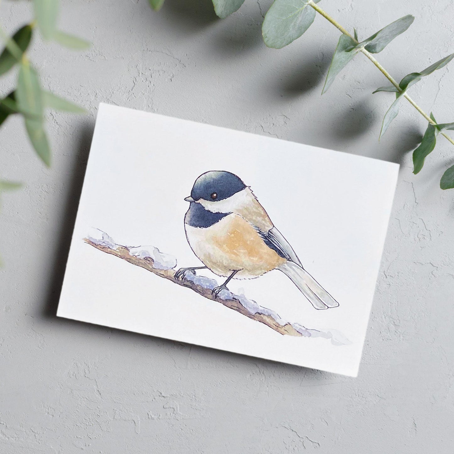 image of Black Capped Chickadee Blank Card from Kristal Serna, Fine Artist